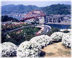 ondo-bridge